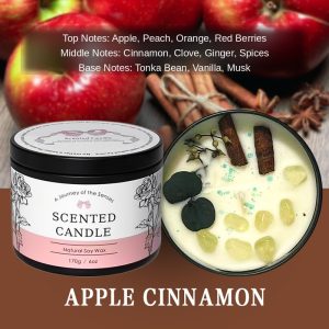 Apple Cinnamon 6oz Dried Flower Crystal Soy Candle — Natural Soy Wax, Black Tin with Lid